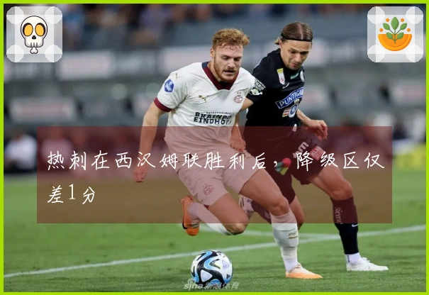 热刺在西汉姆联胜利后，降级区仅差1分