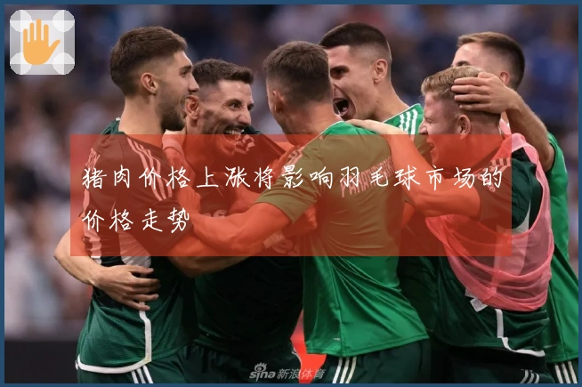 猪肉价格上涨将影响羽毛球市场的价格走势