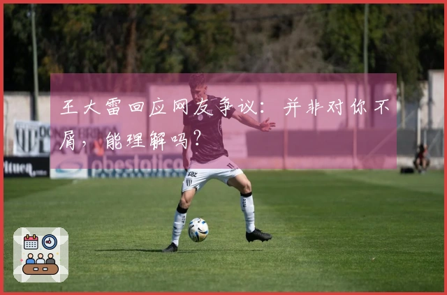 王大雷回应网友争议：并非对你不屑，能理解吗？