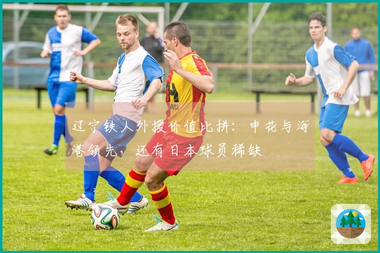 辽宁铁人外援价值比拼：申花与海港领先，还有日本球员稀缺